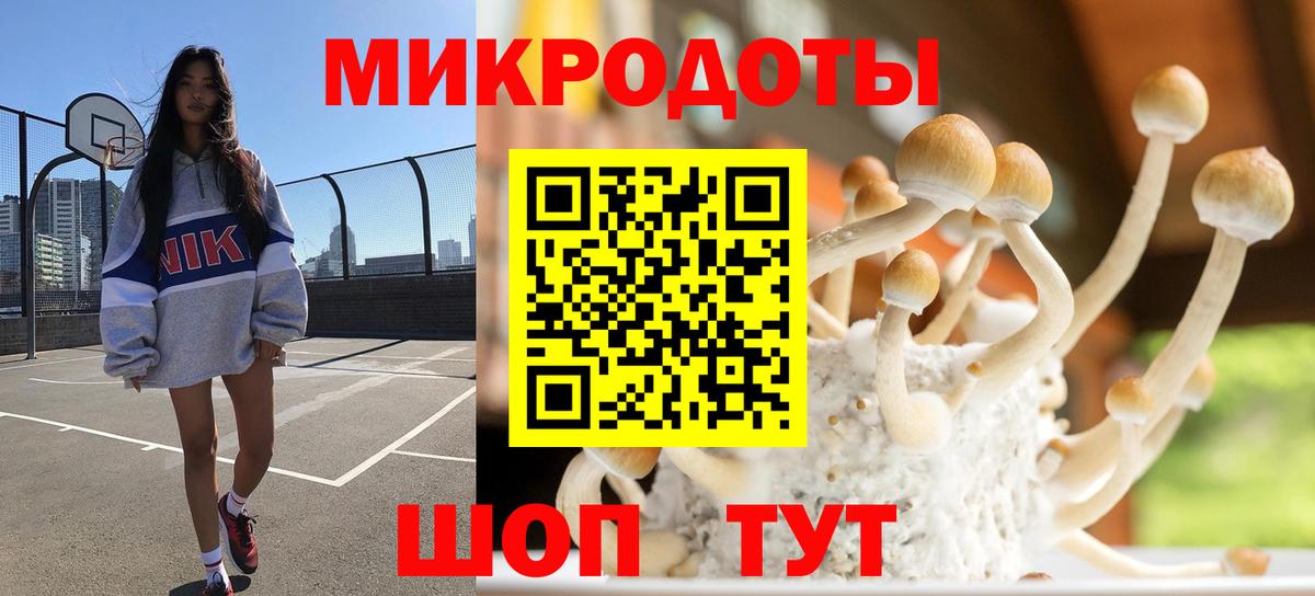 Псилоцибиновые грибы Psilocybine cubensis Калач-на-Дону